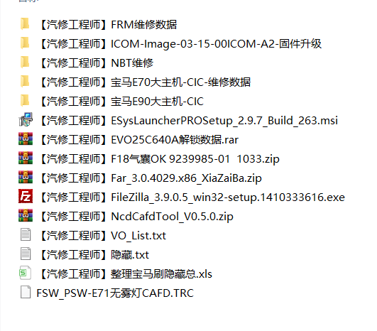 📂宝马BMW | 编程数据 黑石版：宝马工程师内部培训教程 书本配套数据 E系刷隐藏代码 维修数据（8G）
