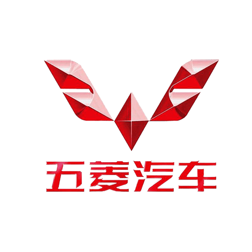 📂五菱宝骏 | 专检 诊断编程 VDS_V1.01.77 离线激活版 五菱宏光荣光之光 RC RM RS(普通会员免费激活1次)