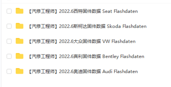 📂大众奥迪 | 固件数据 2020.01大众奥迪斯柯达兰博宾利工程师离线数据FlashDaten 汽车电脑模块数据sgo frf(47G)