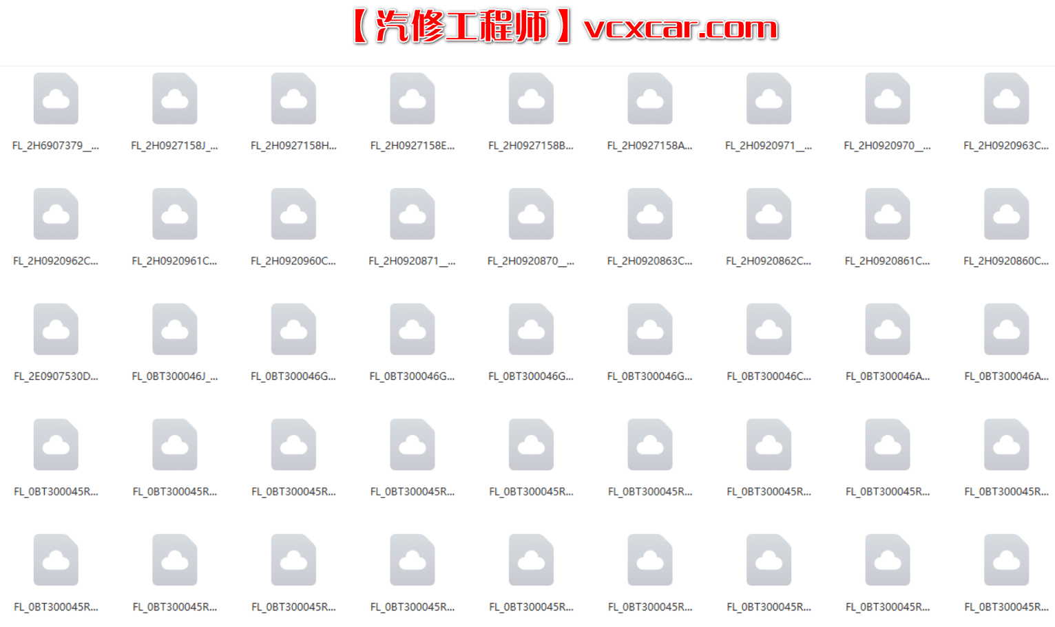 📂大众奥迪 | 固件数据 2020.01大众奥迪斯柯达兰博宾利工程师离线数据FlashDaten 汽车电脑模块数据sgo frf(47G)