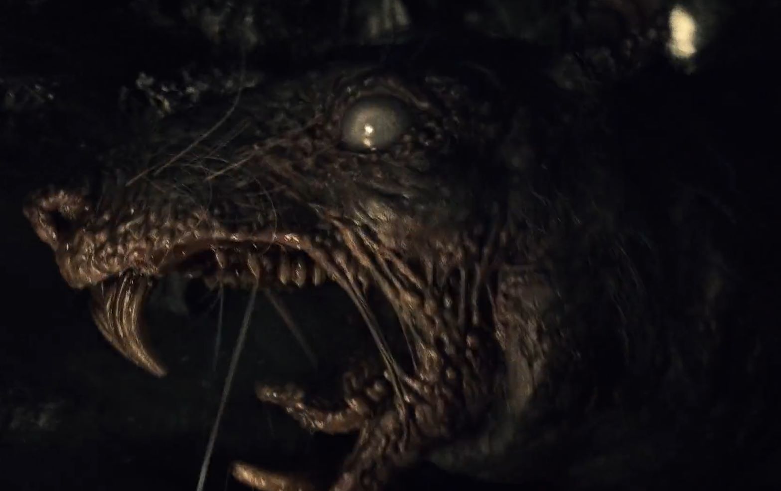 影视频道 | 2022年最新【吉尔莫·德尔·托罗的奇思妙想】01~08集  (最牛天才导演, 恐怖剧集, 胆小勿看)（5.6G）