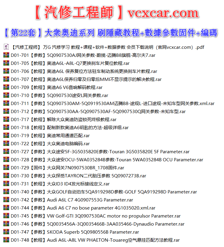 🟥[SVIP·专享] 大众奥迪 |【第22套】刷隐藏教程+数据参数固件+编码匹配+升级改装 [5Q0参数 音响解码 防盗锁死 通道匹配 配置新款钥匙 新款电脑编码 空气悬挂](25份)