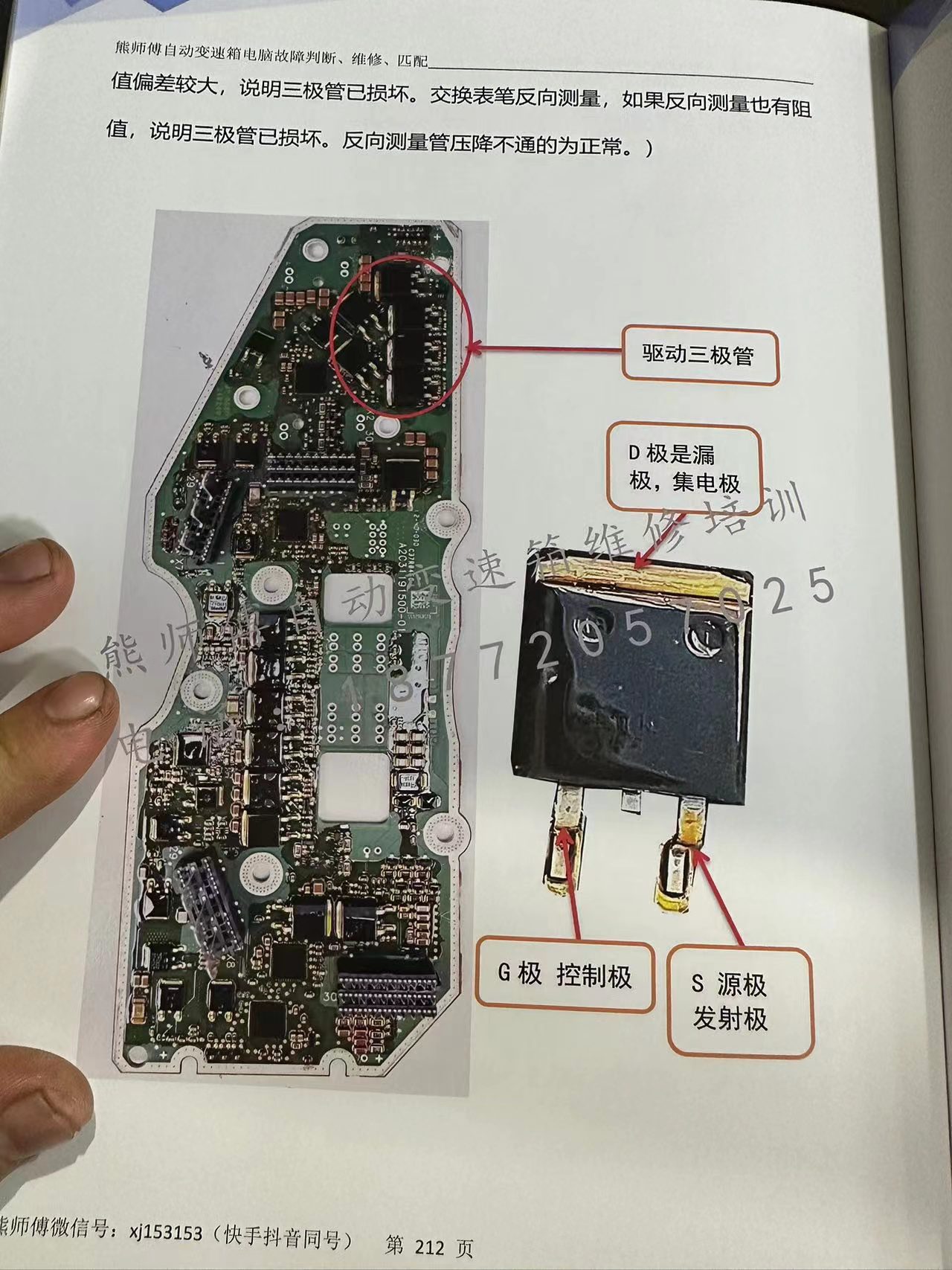 📂变速箱 | 教程 XSF 自动变速箱 电脑故障判断+维修+匹配 德系美系日系国产+福特福克斯DPS6 变速箱资料  (228页)