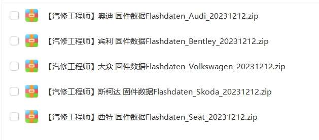 📂大众奥迪 | Flashdaten 2023.12大众奥迪斯柯达兰博宾利工程师离线数据 汽车电脑模块数据(VW Audi Skoda Lambo Bentley)sgo frf (120G)