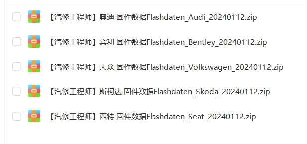 📂大众奥迪 | Flashdaten 2024.01大众奥迪斯柯达兰博宾利工程师离线数据 汽车电脑模块数据(VW Audi Skoda Lambo Bentley)sgo frf (120G)