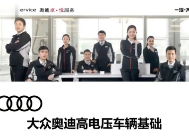 🎓[SVIP·积分课程] 大众奥迪 | 新能源培训 2023年 原厂高电压基础及ID4_ID6技术培训-890元-88节（10G）
